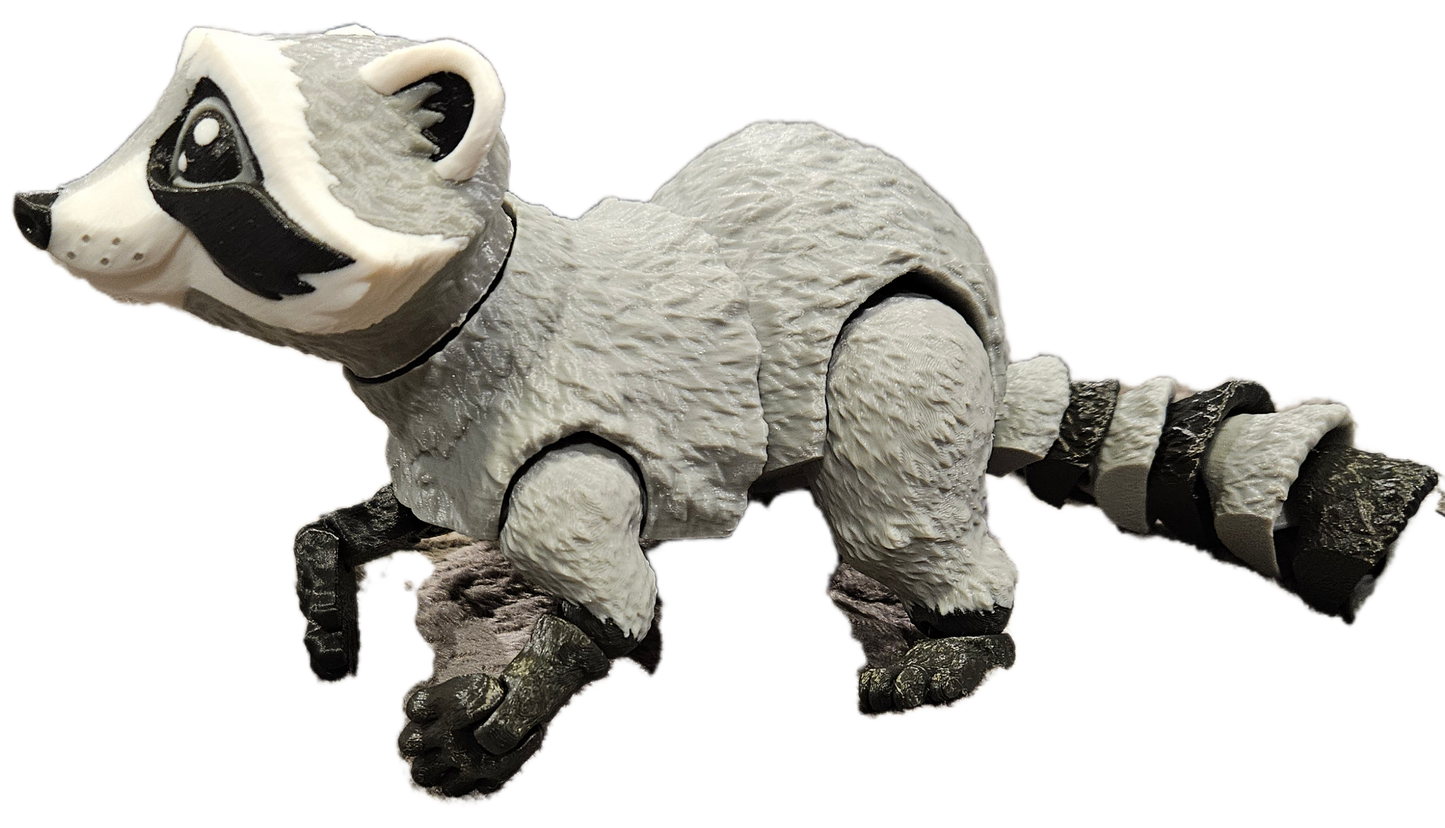 Raccoon