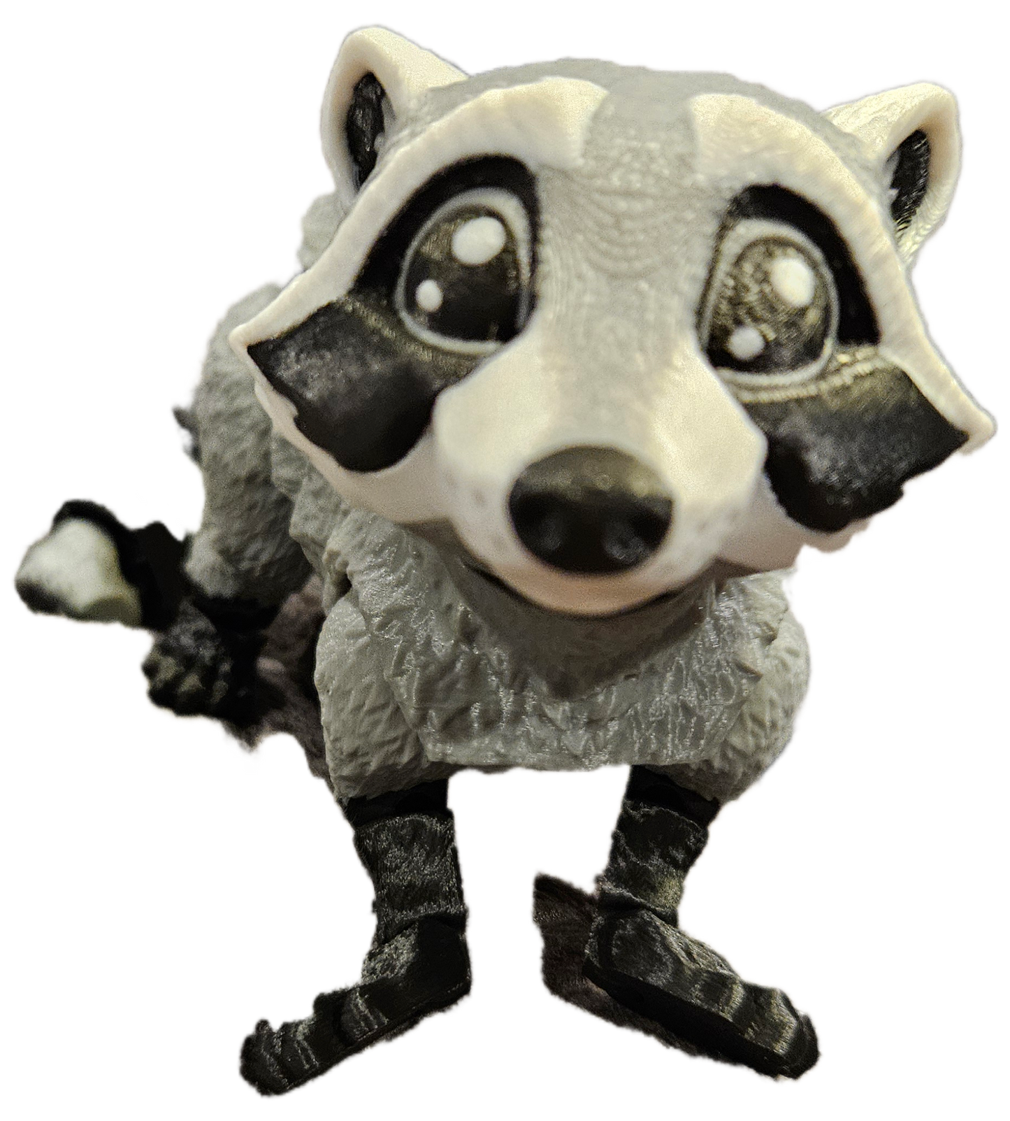 Raccoon