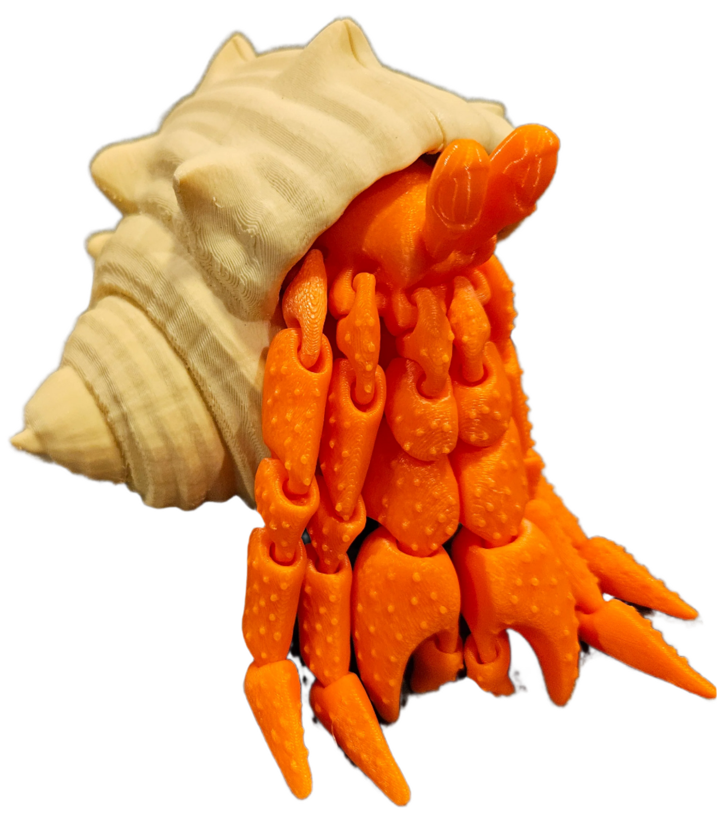 Hermit Crab