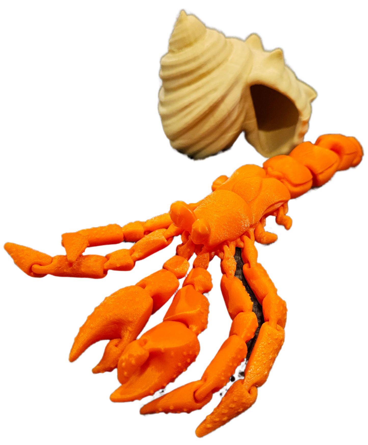 Hermit Crab