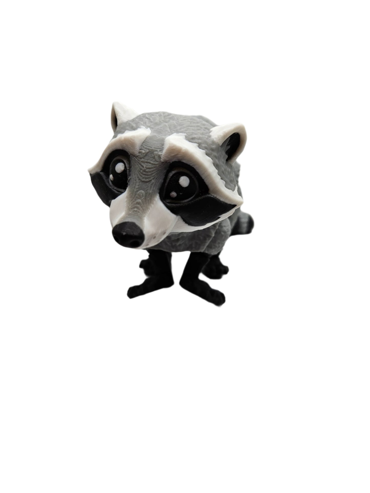 Raccoon