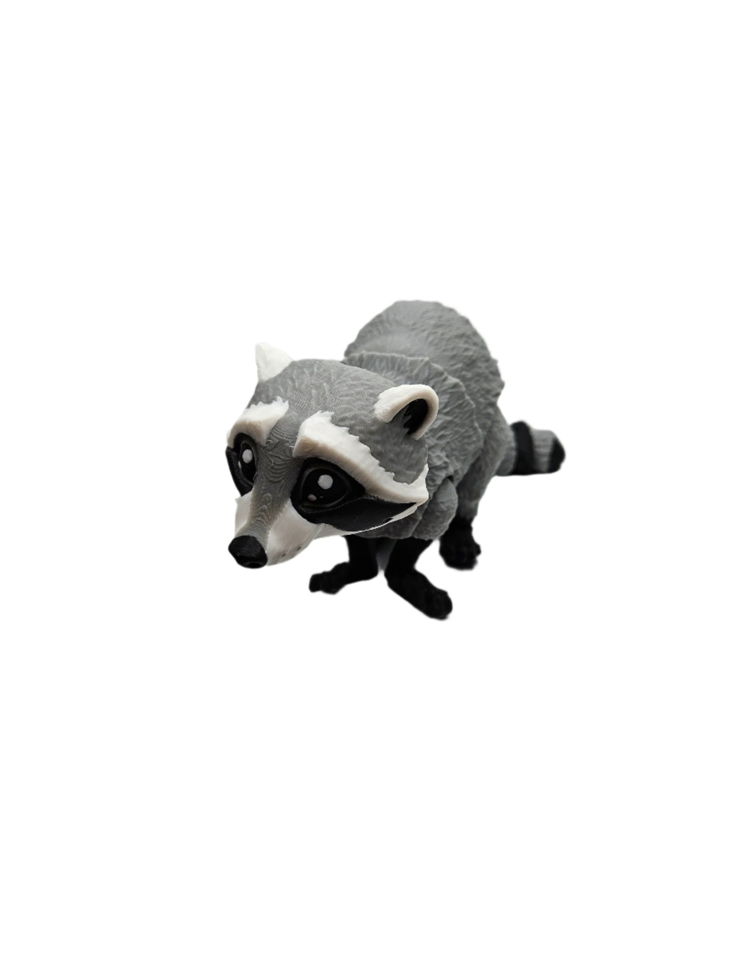 Raccoon