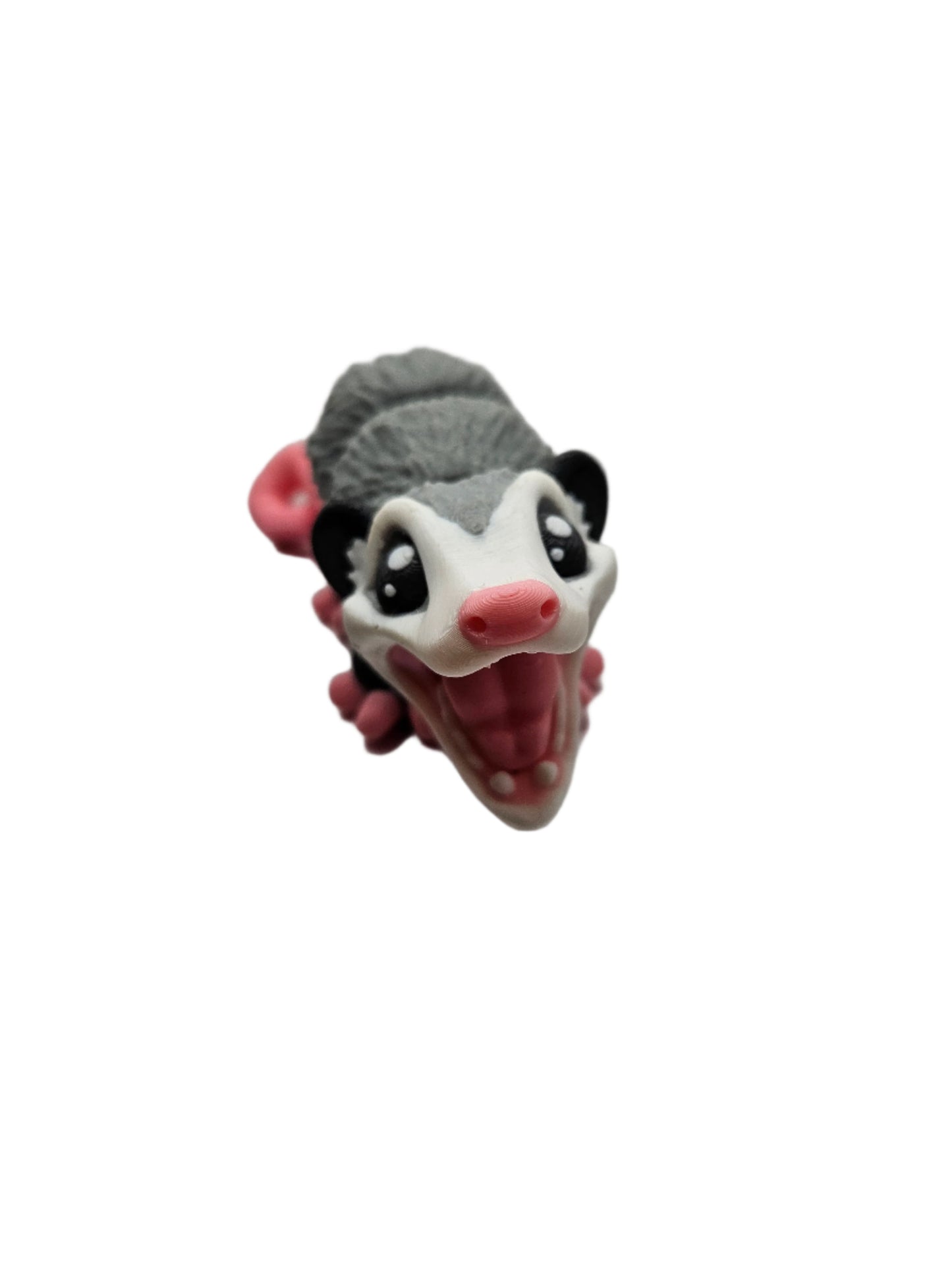 Opossum