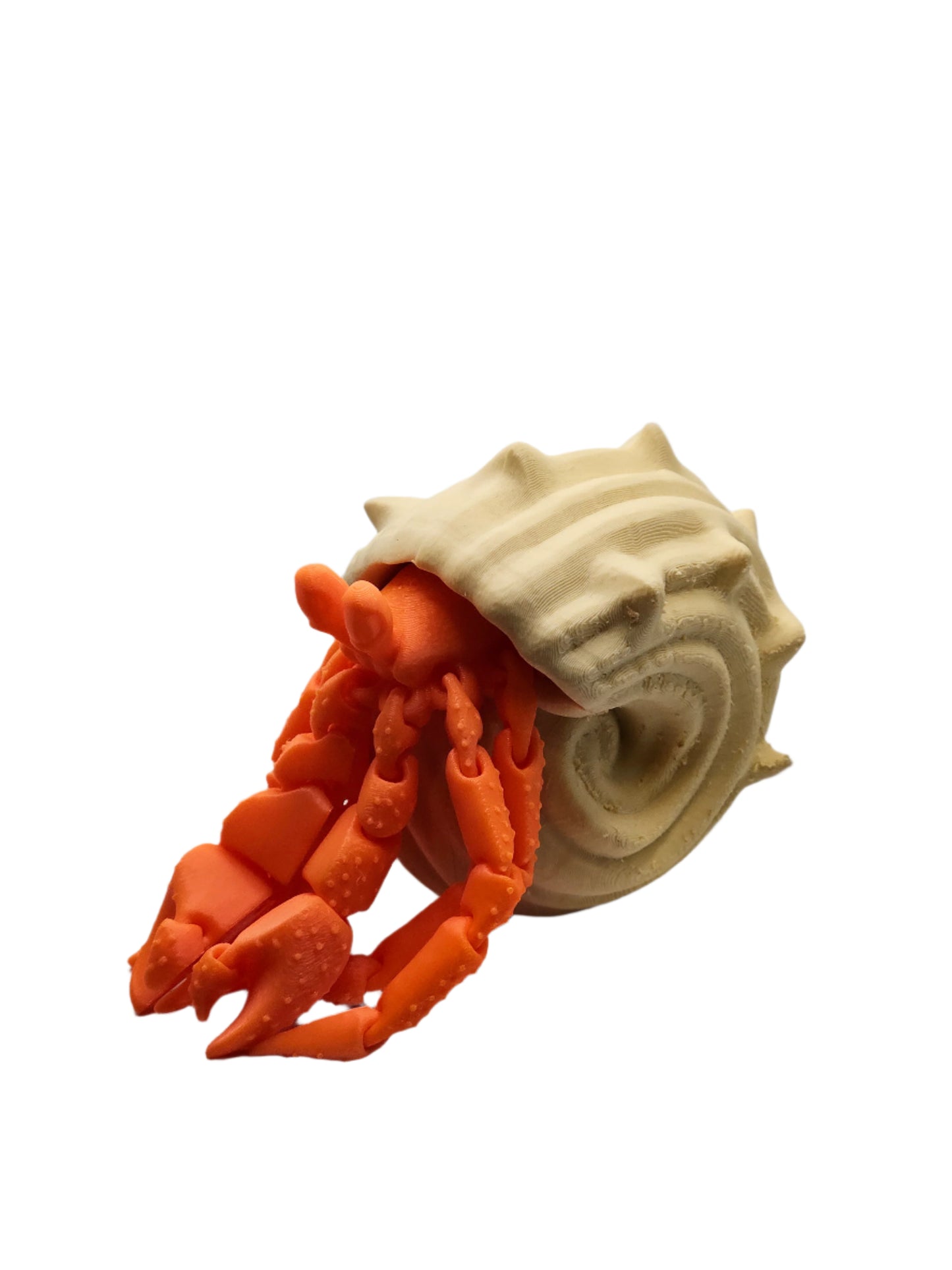 Hermit Crab