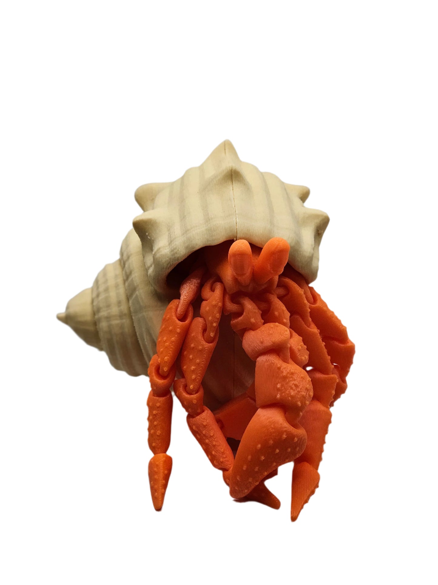 Hermit Crab