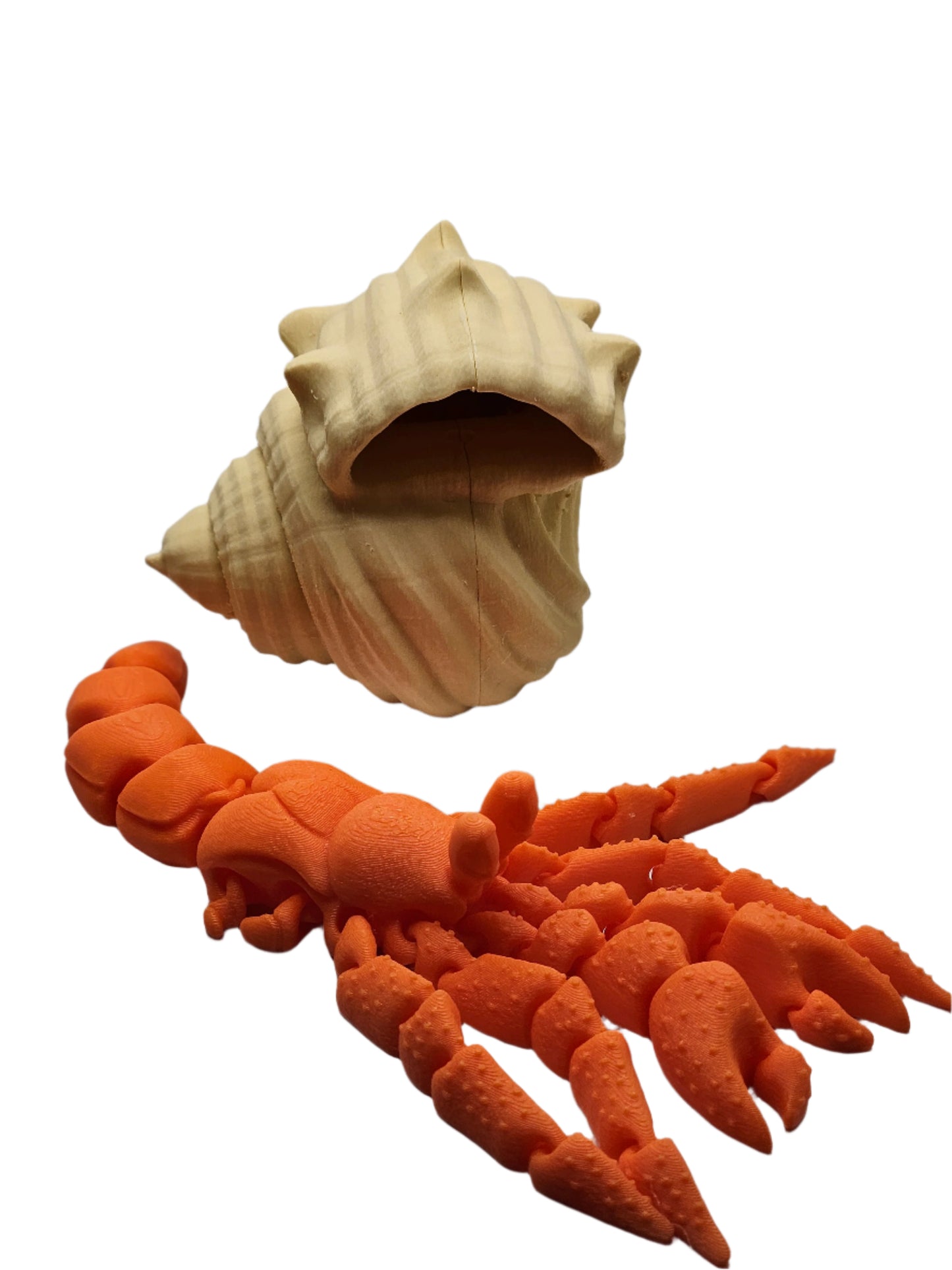 Hermit Crab